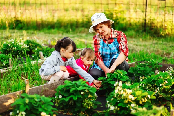 Familie rust in de tuin. — Stockfoto