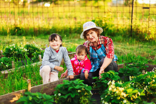 Family resting in the garden.