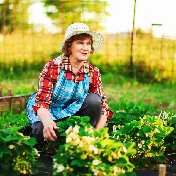 Frau im Garten. — Stockfoto