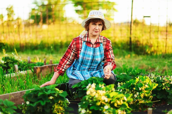 Vrouw in de tuin. — Stockfoto