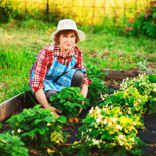 Vrouw in de tuin. — Stockfoto