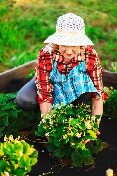 Vrouw in de tuin. — Stockfoto