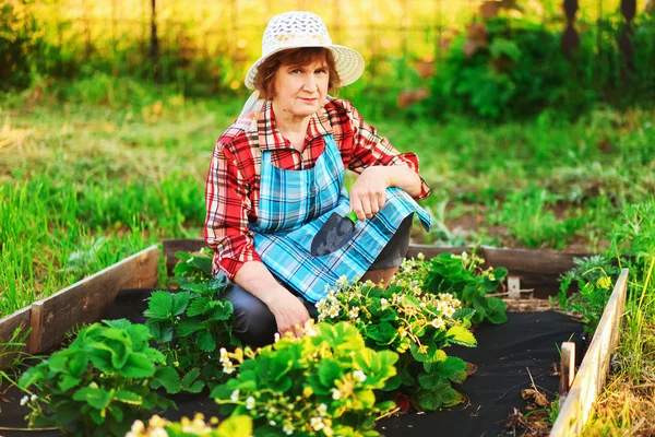 Kvinna i trädgården. — Stockfoto