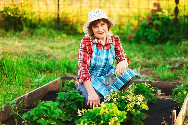 Donna in giardino. — Foto Stock