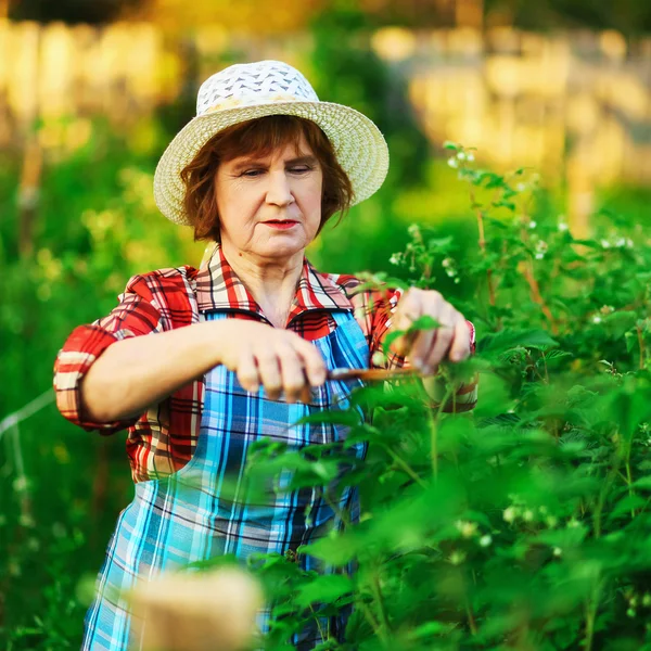 Frau im Garten. — Stockfoto