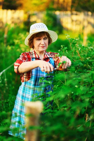 Woman in garden. — Stock Photo, Image