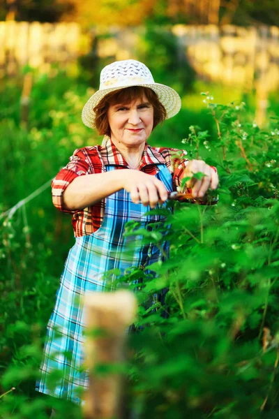 Woman in garden. — Stock Photo, Image