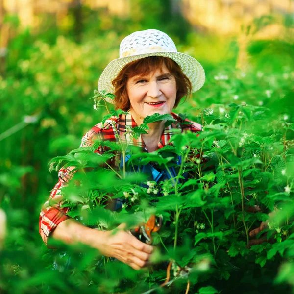 Donna in giardino. — Foto Stock