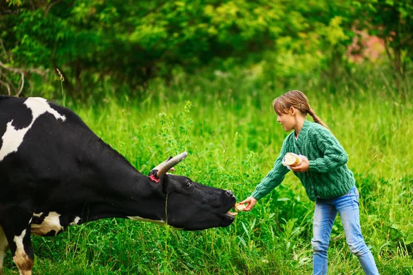 Niños alimentando a una vaca . —  Fotos de Stock