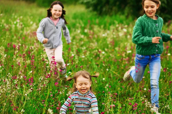 Niños felicidad al aire libre . —  Fotos de Stock