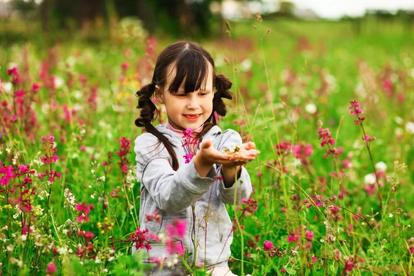 Retrato de niña . —  Fotos de Stock