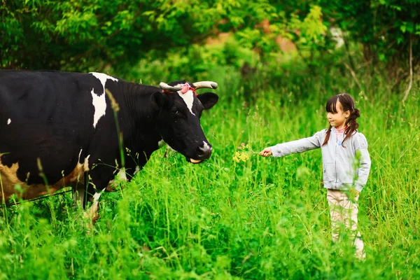 Niños alimentando a una vaca . —  Fotos de Stock