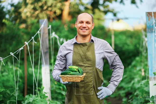 Der Mann im Garten. — Stockfoto