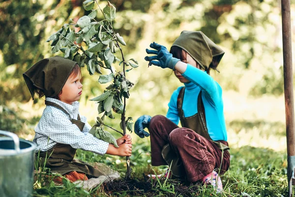 庭の子供たち. — ストック写真