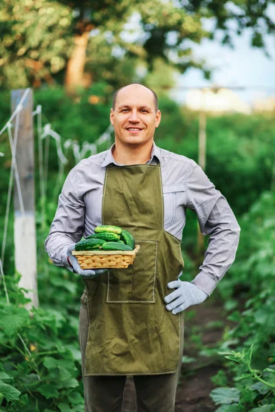 Der Mann im Garten. — Stockfoto