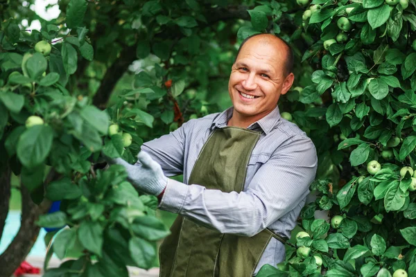 The man in garden. — Stock Photo, Image