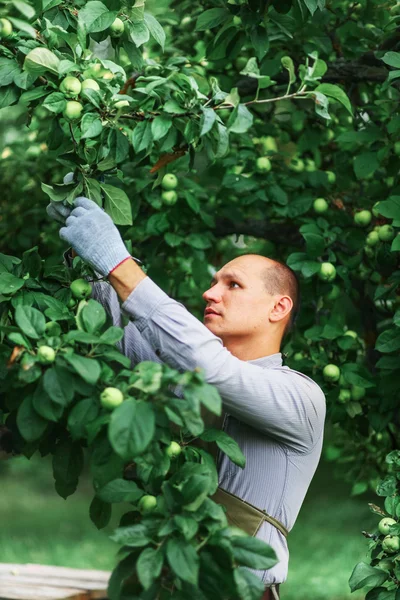 L'uomo in giardino . — Foto Stock