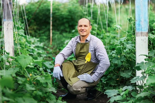 The man in garden. — Stock Photo, Image