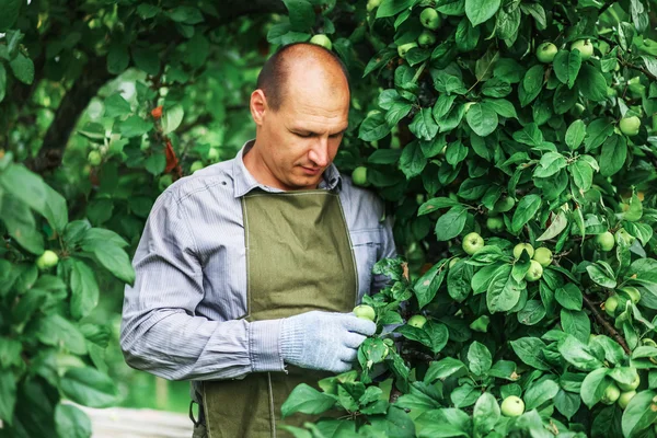 The man in garden. — Stock Photo, Image