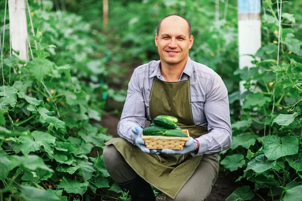 The man in garden. — Stock Photo, Image