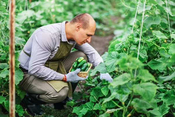 The man in garden. — Stock Photo, Image