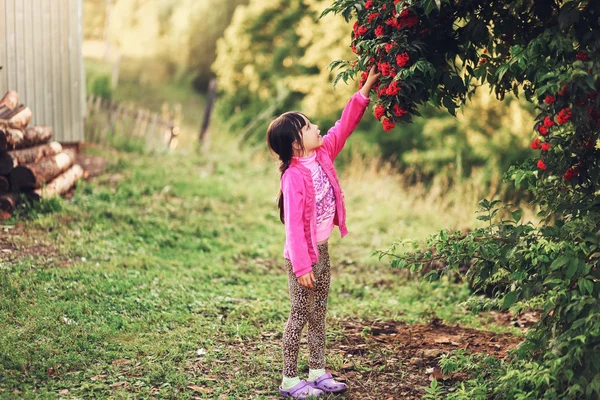 Enfant heureux en plein air . — Photo