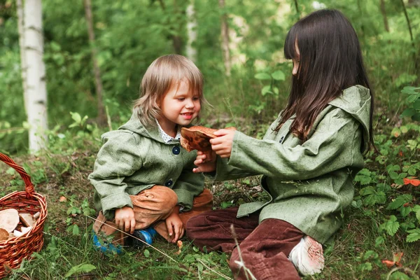 Kinder im Wald. — Stockfoto