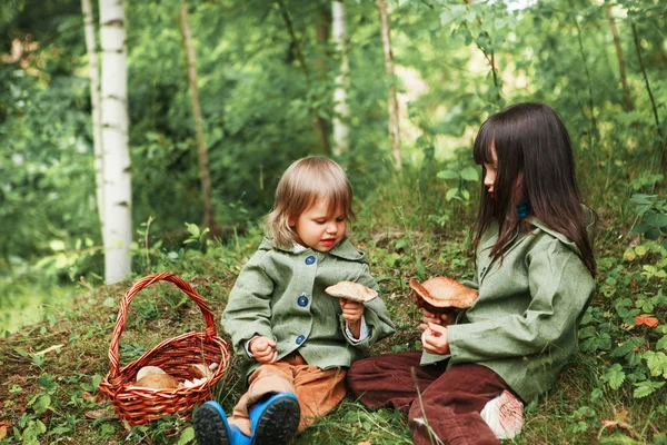 Kinder im Wald. — Stockfoto