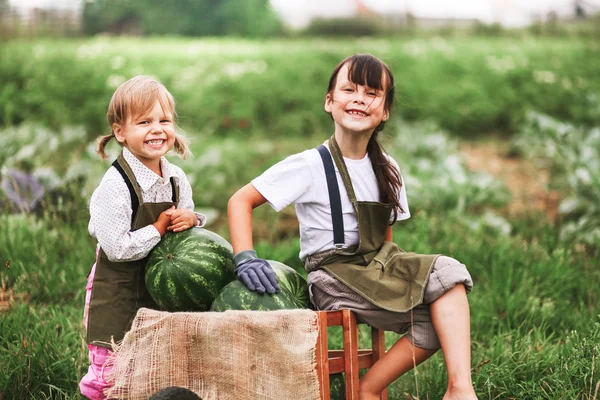 Enfants heureux en plein air . — Photo