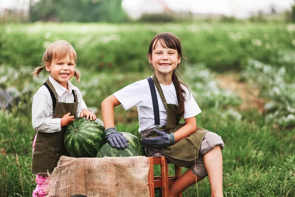 Kinder freuen sich im Freien. — Stockfoto