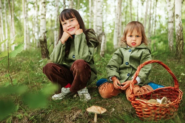 Дітей у лісі . — стокове фото