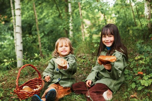 Děti v lese. — Stock fotografie