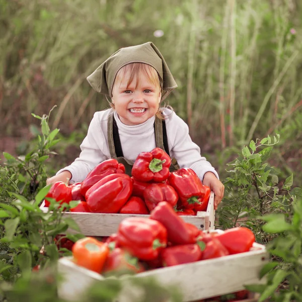 Children in garden. — Stock Photo, Image