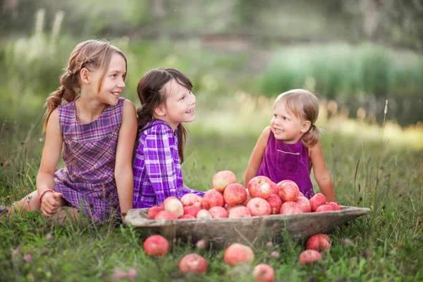 Enfant manger pomme . — Photo