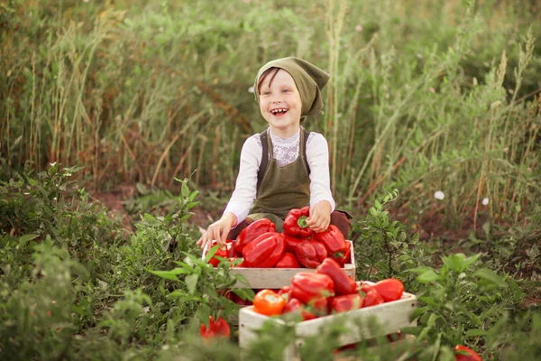 Bambini in giardino . — Foto Stock