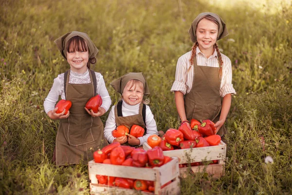 Enfants dans le jardin . — Photo