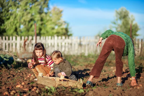 Kinder im Garten. — Stockfoto