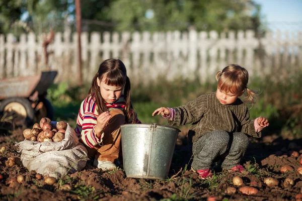 Kinder im Garten. — Stockfoto