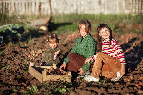 Barn i trädgård. — Stockfoto