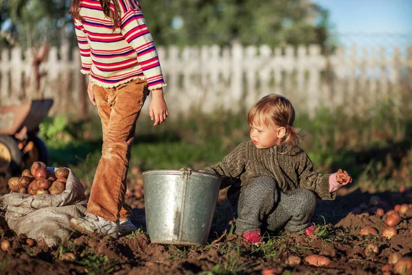 Kinder im Garten. — Stockfoto