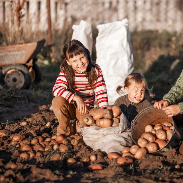 Kinder im Garten. — Stockfoto