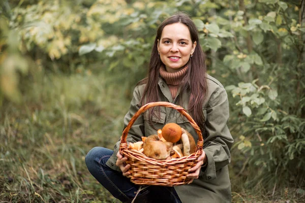 Na zbieranie grzybów. — Zdjęcie stockowe