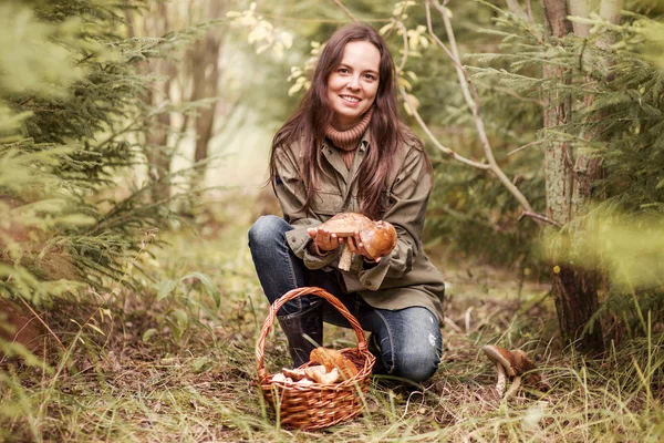 Paddestoelen plukken. — Stockfoto