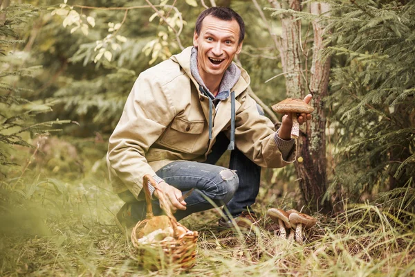 To picking mushrooms. — Stock Photo, Image