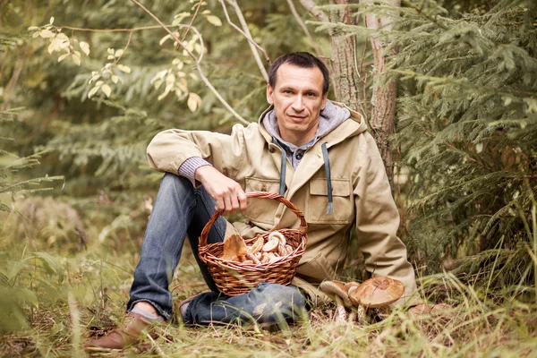 Zum Pilzesammeln. — Stockfoto