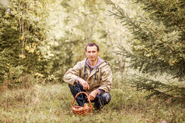 Paddestoelen plukken. — Stockfoto