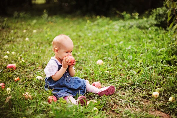 Baby. — Stock Photo, Image