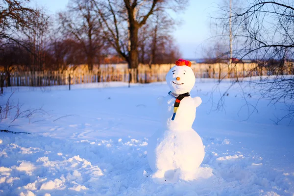 Pupazzo di neve. — Foto Stock