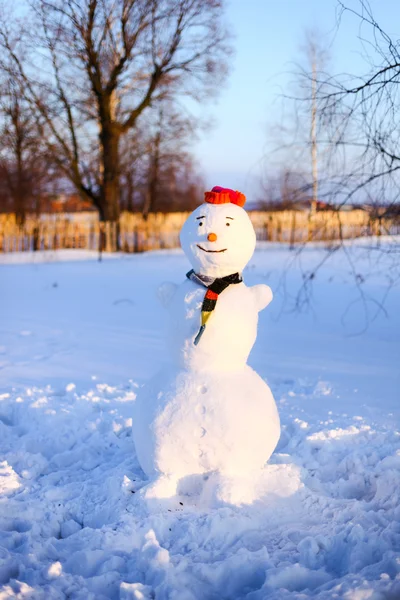 Sněhulák. — Stock fotografie