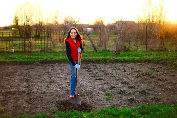 Giardino. — Foto Stock